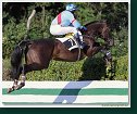Veľká starohájska steeplechase