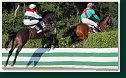 Veľká starohájska steeplechase