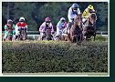 Veľká starohájska steeplechase