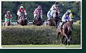 Veľká starohájska steeplechase