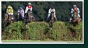 Veľká starohájska steeplechase