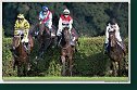 Veľká starohájska steeplechase