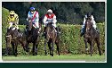 Veľká starohájska steeplechase