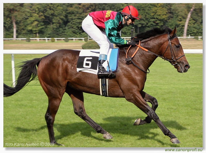 Bratislava - 27. septembra 2009 