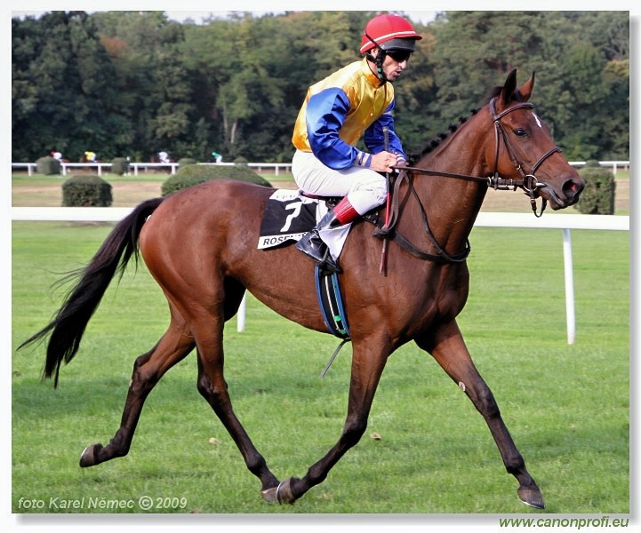 Bratislava - 27. septembra 2009 