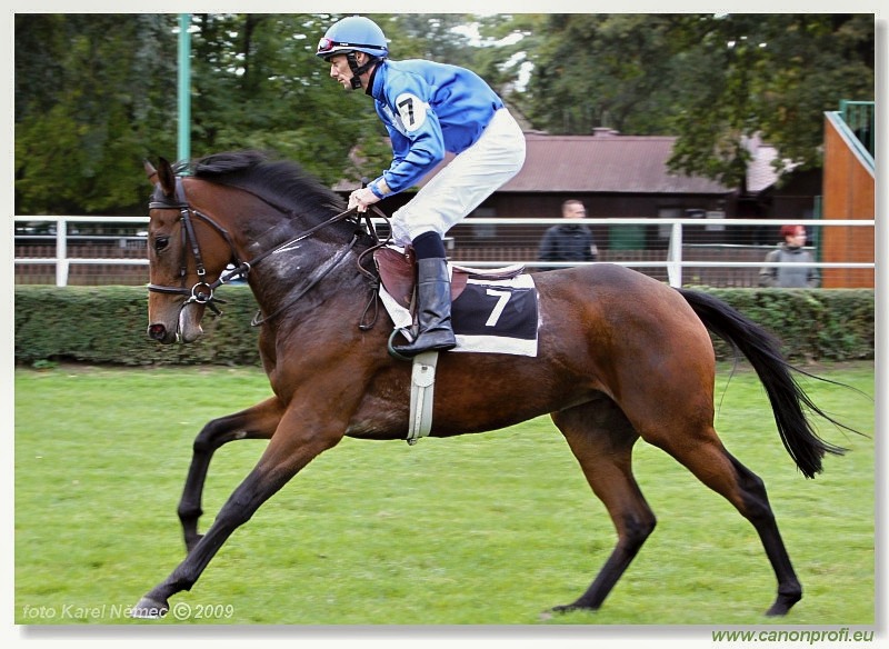 Bratislava - 18. októbra 2009 