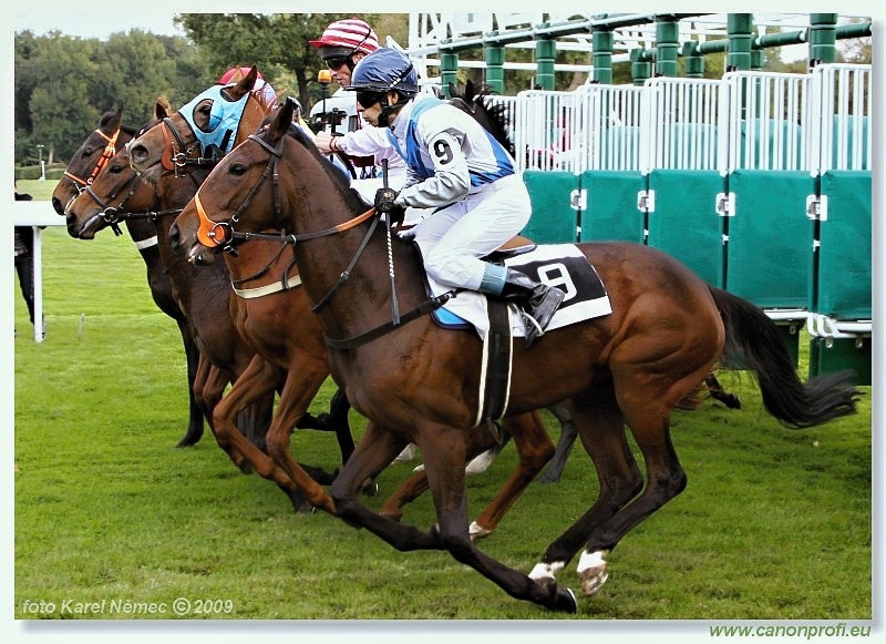 Bratislava - 18. októbra 2009 