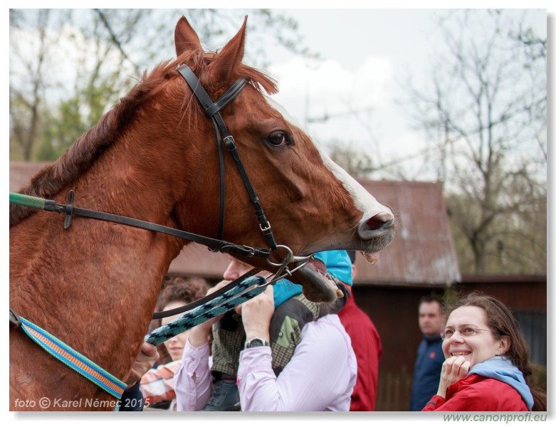 Bratislava - 12. aprla 2015 