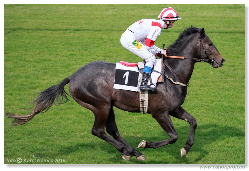Bratislava - 12. aprla 2015 