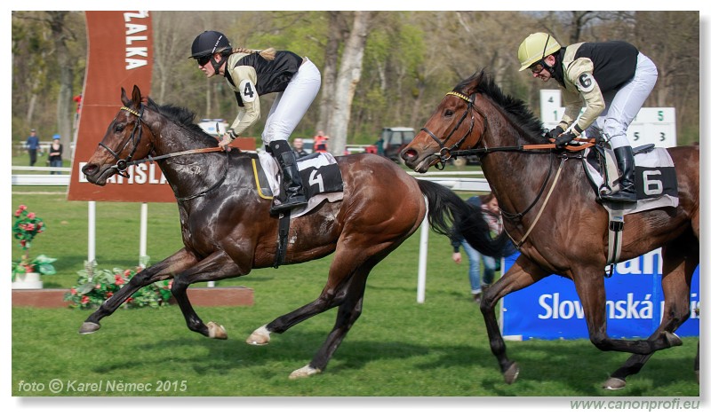 Bratislava - 12. aprla 2015 