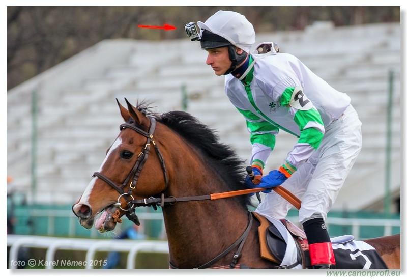 Bratislava - 12. aprla 2015 