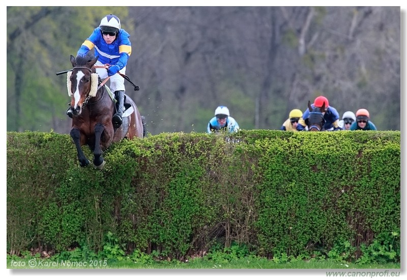 Bratislava - 12. aprla 2015 