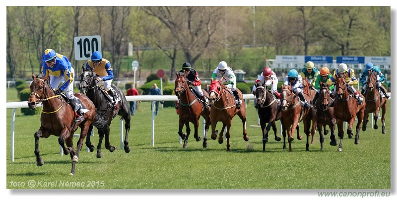 Bratislava - 19. aprla 2015 