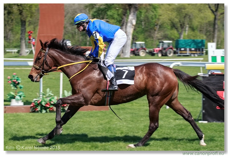 Bratislava - 19. aprla 2015 