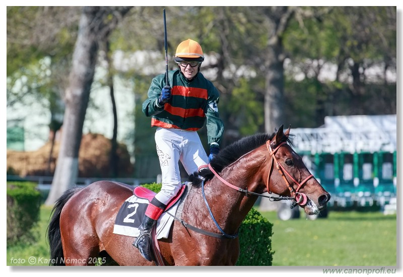Bratislava - 19. aprla 2015 