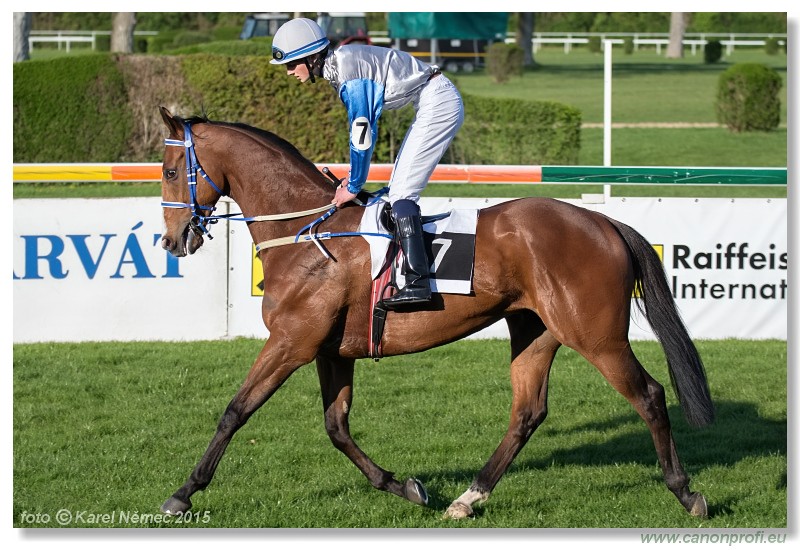 Bratislava - 19. aprla 2015 