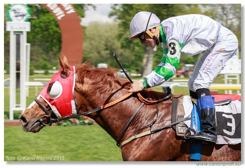 Bratislava - 26. aprla 2015 