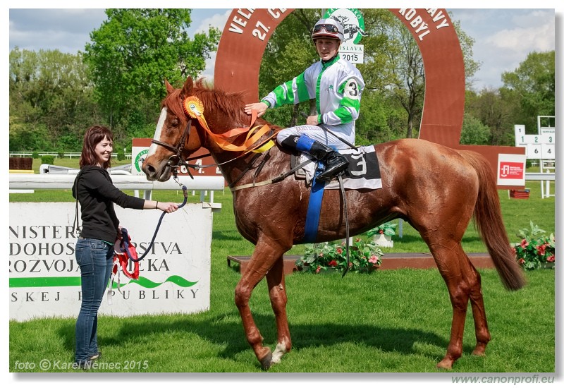 Bratislava - 26. aprla 2015 