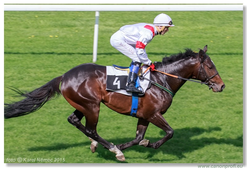 Bratislava - 26. aprla 2015 