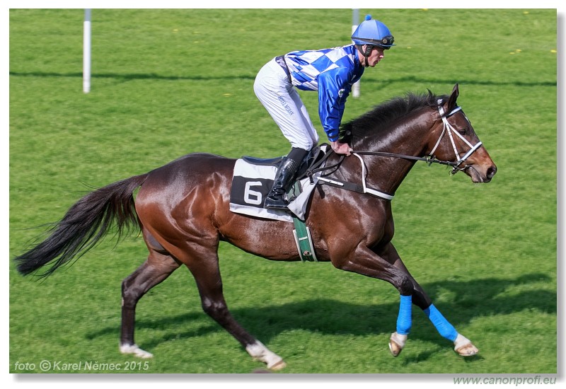 Bratislava - 26. aprla 2015 