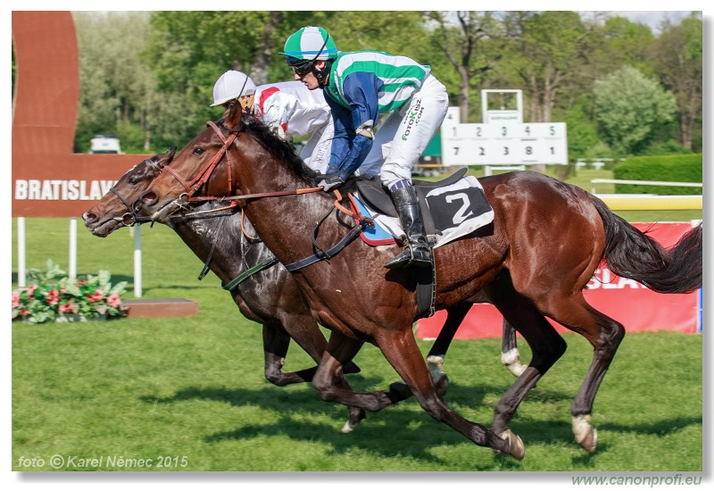 Bratislava - 26. aprla 2015 