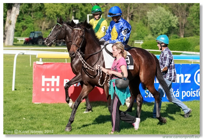 Bratislava - 26. aprla 2015 