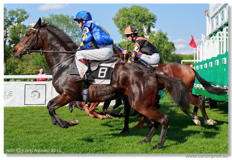 Bratislava - 26. aprla 2015 