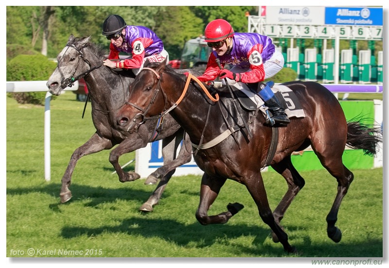 Bratislava - 26. aprla 2015 