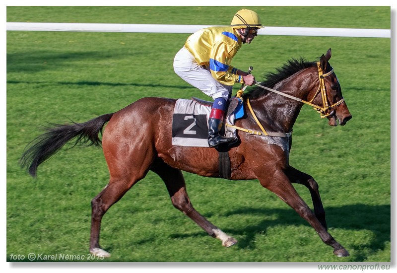 Bratislava - 26. aprla 2015 