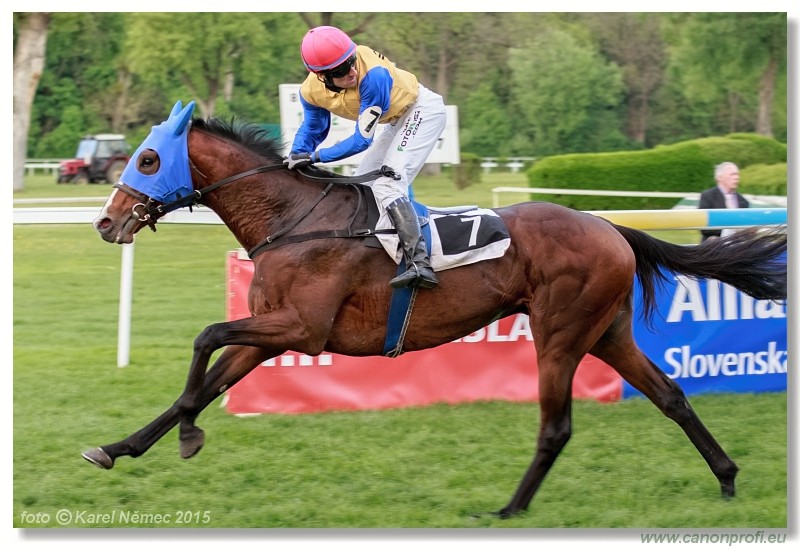 Bratislava - 26. aprla 2015 