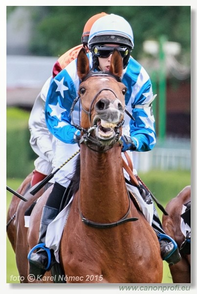 Bratislava - 17. mja 2015 