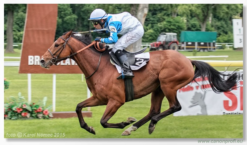 Bratislava - 17. mja 2015 