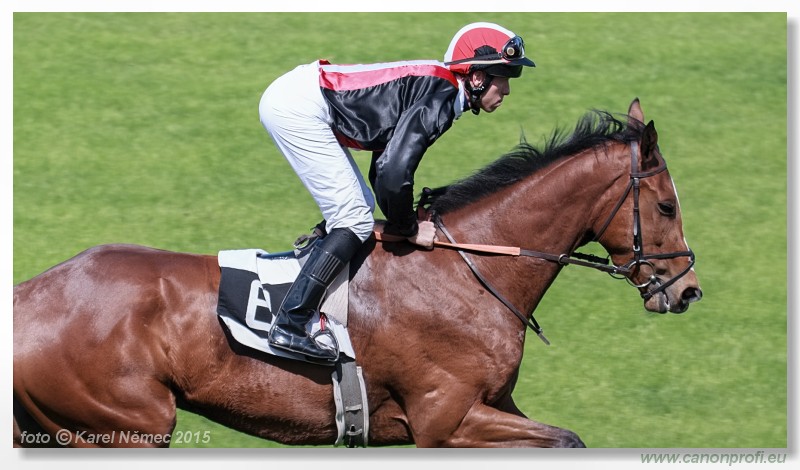 Bratislava - 17. mja 2015 