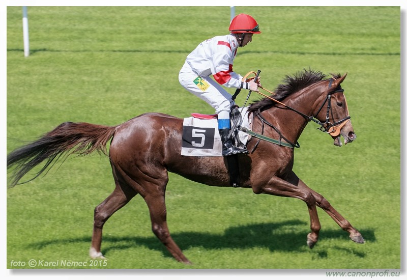Bratislava - 17. mja 2015 