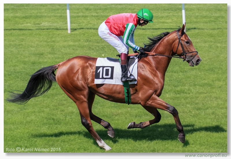 Bratislava - 17. mja 2015 