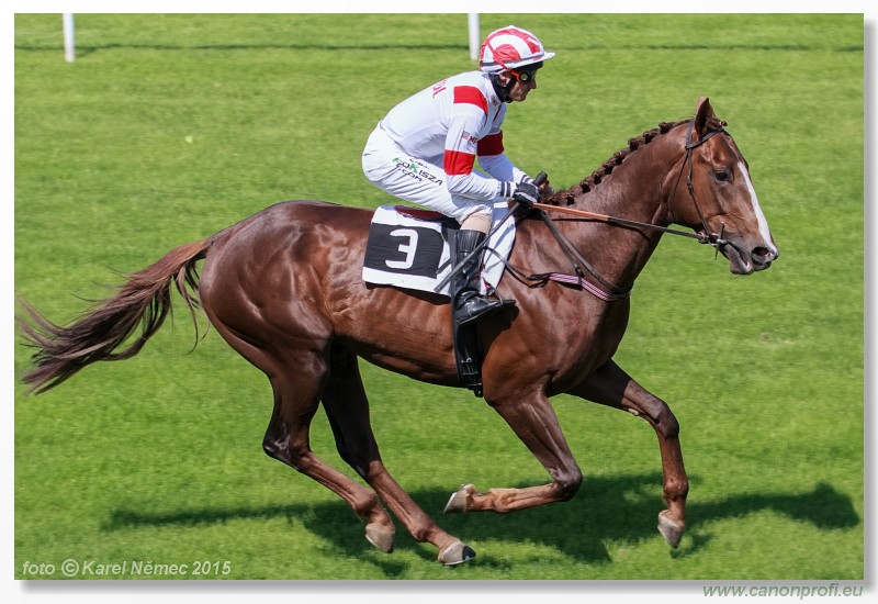 Bratislava - 17. mja 2015 