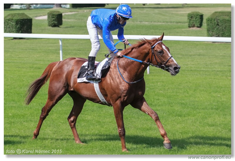 Bratislava - 17. mja 2015 