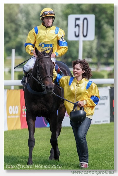 Bratislava - 17. mja 2015 