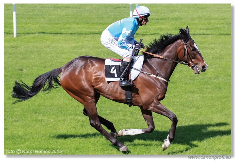 Bratislava - 17. mja 2015 