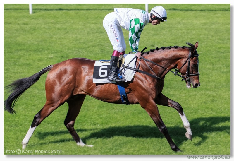 Bratislava - 17. mja 2015 
