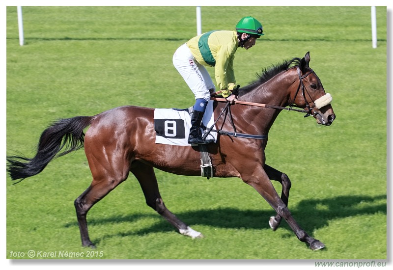 Bratislava - 17. mja 2015 