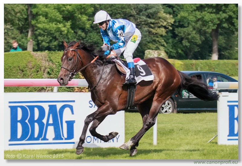 Bratislava - 17. mja 2015 