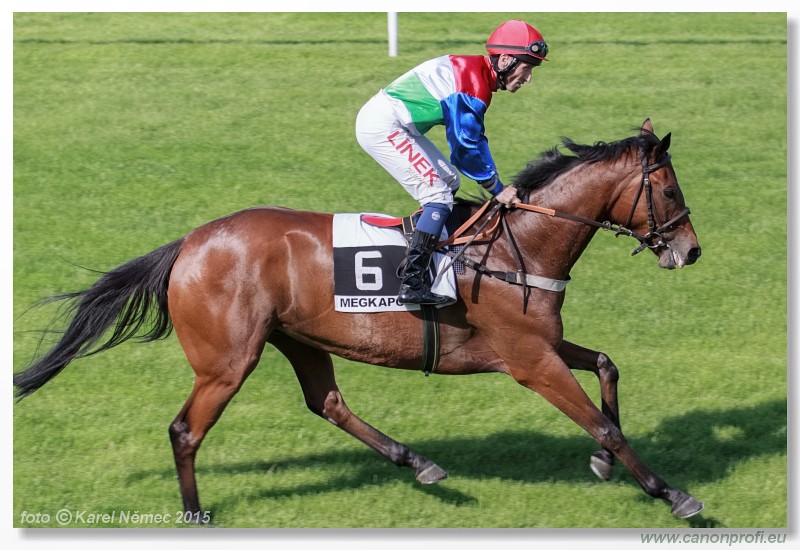Bratislava - 17. mja 2015 