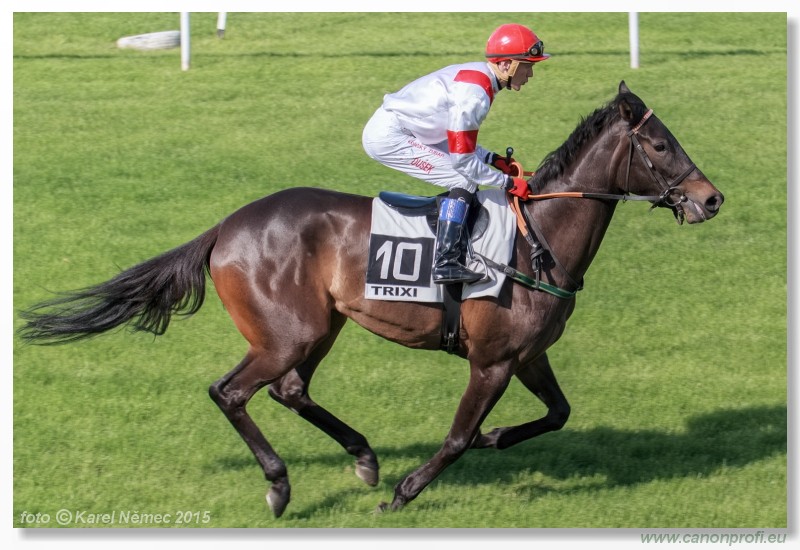 Bratislava - 17. mja 2015 