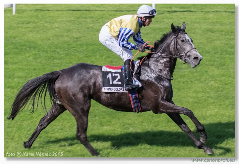 Bratislava - 17. mja 2015 