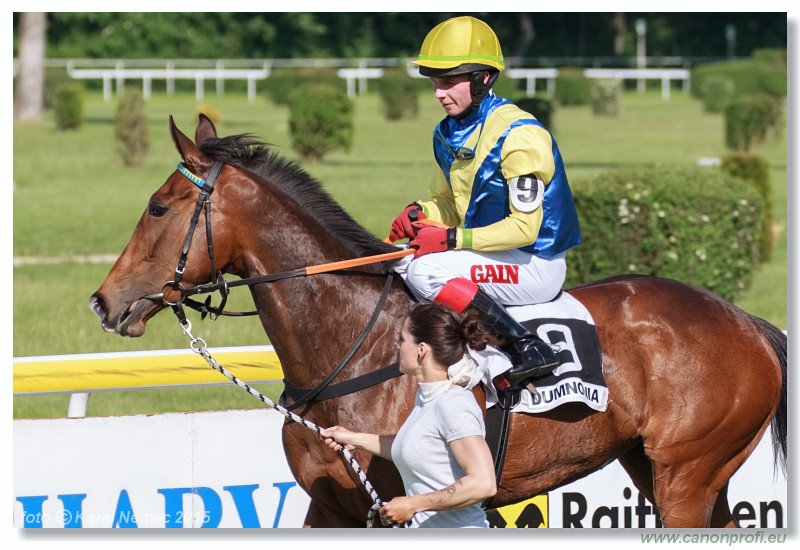 Bratislava - 17. mja 2015 