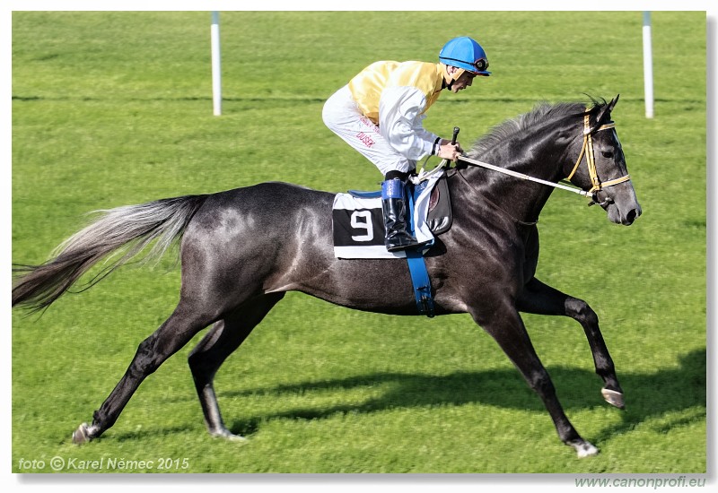 Bratislava - 17. mja 2015 