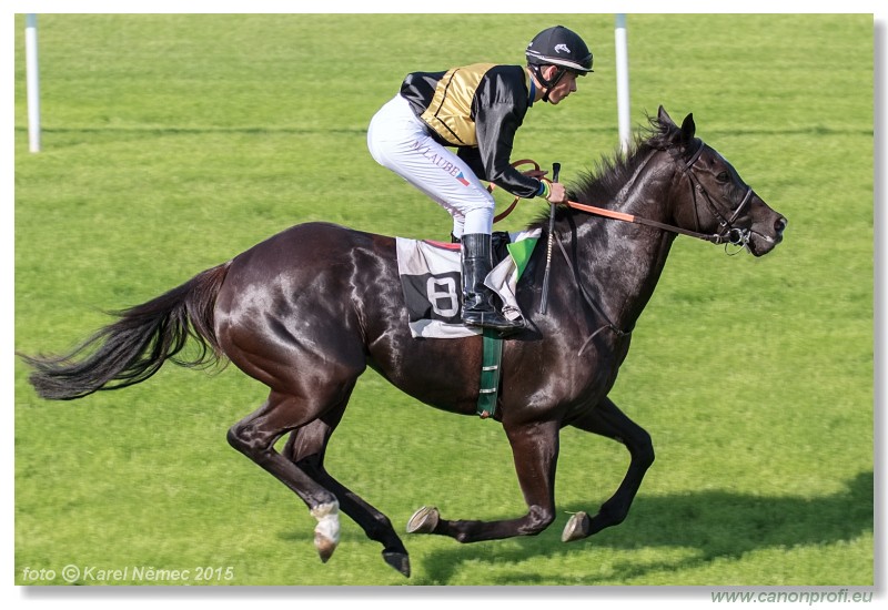 Bratislava - 17. mja 2015 