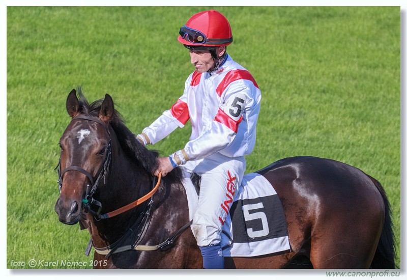 Bratislava - 17. mja 2015 