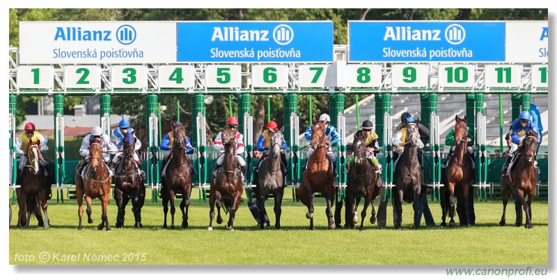 Bratislava - 17. mja 2015 
